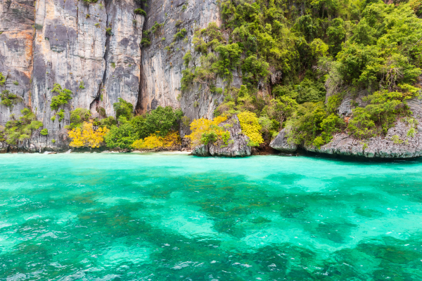 Phi Phi Island