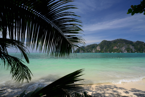 Phi Phi Island